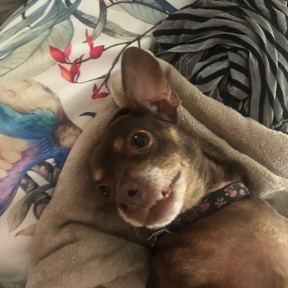 Scott - Picture 14 of 16